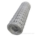 Square wire mesh 1inchx1inch Galvanized Iron Wire Mesh